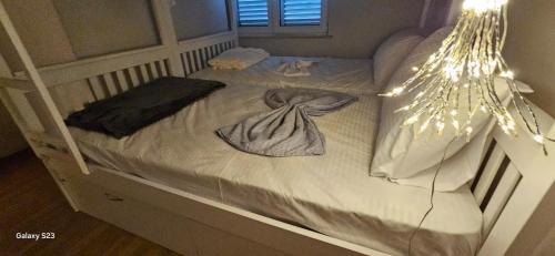 i hostel, Tirana (photo 4)