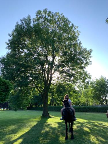 Empyrean Birtokház (Empyrean Birtokhaz) in Ásványráró
