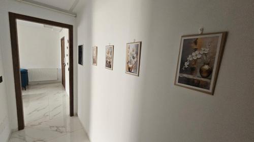 حي الواحات, Tunis (photo 6)