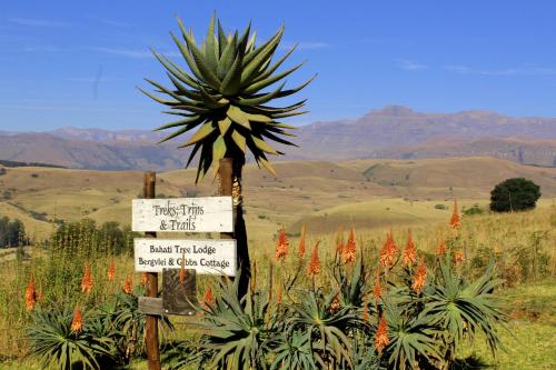 Treks, Trips and Trails, Champagne Valley (foto 4)