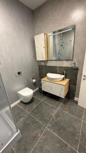 Cozy Studios Barlad in บาร์ลัด