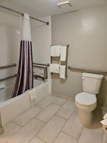 La Quinta Inn by Wyndham Tampa Bay Airport - image 10