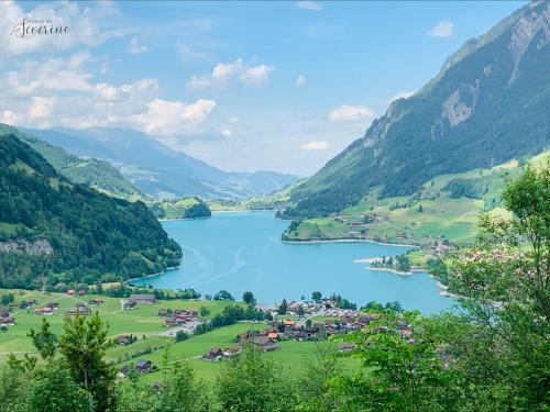 ที่เที่ยวใกล้ที่พัก, Wiesenglück by Greatlifestay (Wiesengluck by Greatlifestay) in เอนเนทบึร์เกน