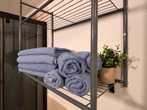 Ferienwohnung Elbflair in Riesa