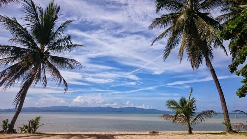 Papillon Bungalows