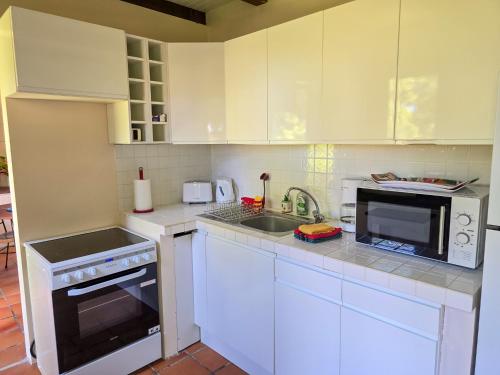 La Boutique, case d'époque, vue Montagne Pelée (La Boutique, case d'epoque, vue Montagne Pelee) in Saint-Pierre