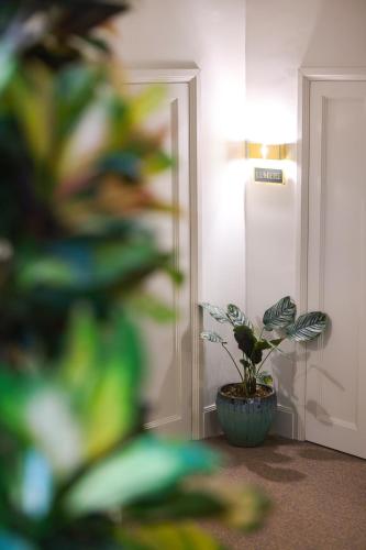 Padam Boutique Hotel, Tirana (fotografie 9)