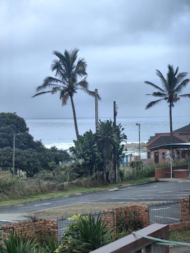 Strand, Flying Fish in Hibberdene
