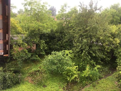 Gest house Chik-Shali