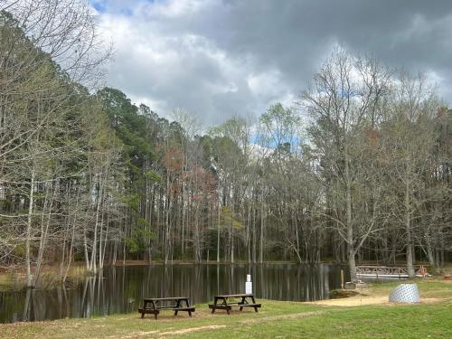 Unique Earth Home Retreat | Pond, Goats & Fire Nights in Roanoke Rapids (Észak-Karolina)