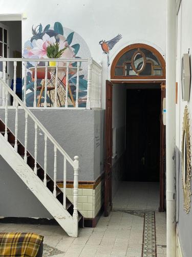 Avokanto in Montevideo