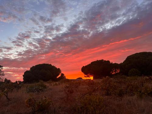 Casa Madeira no Monte in Troto
