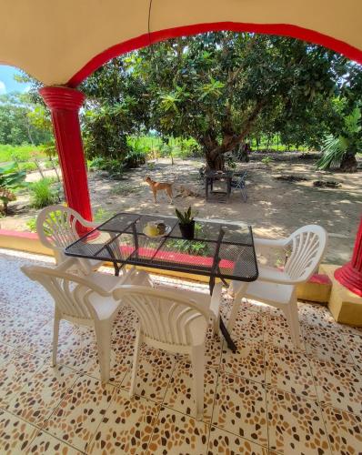 Sunshine Guesthouse Bafuloto in Kunkujang Jattaya