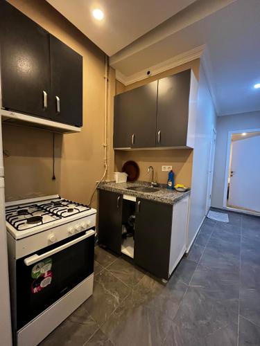 White Lotus Suites, Istanbul (fotografie 8)