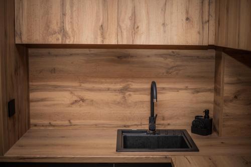 President Apartments in 别拉什尼察