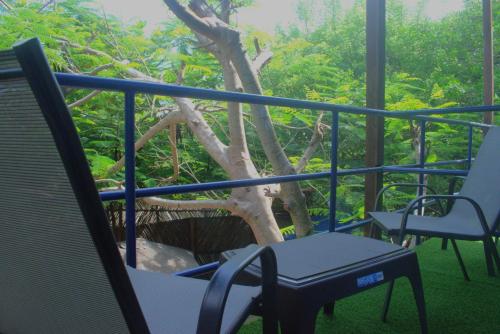 Garden, Mango Tree Island 420 in Tierra Bomba