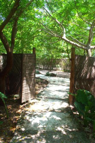 Surrounding environment, Mango Tree Island 420 in Tierra Bomba