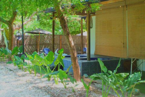 Garden, Mango Tree Island 420 in Tierra Bomba