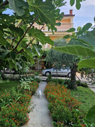 Apartments with parking space Lopar Rab - 24754 - image 4
