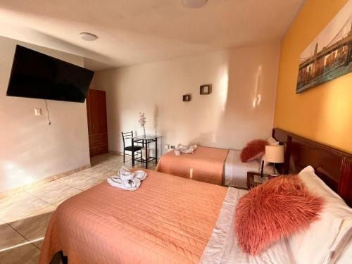Casa Baraquel, Arequipa (foto 3)