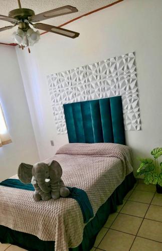 Casa Tanzania 6, Cedro