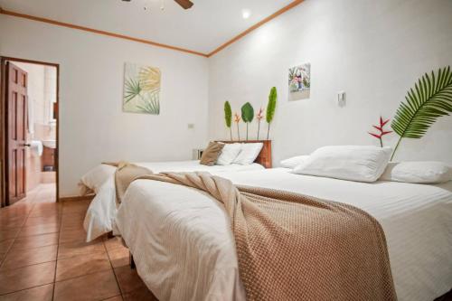Room A Heredia – Excellent Location, San Juan Arriba