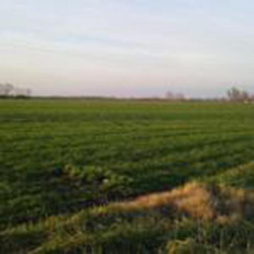 Quadrifoglio Relax - image 8