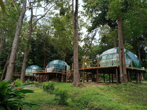 View, Krabi Campsite Glamping & Camping in Ban Tha Len