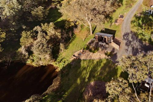 The Whistling Frog by Tiny Away in เนียริมใต้