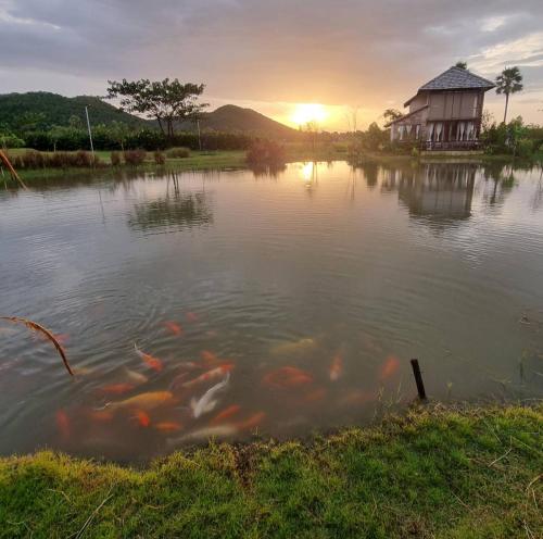 Harmony at Huailan Home Ecolodge, Ban Mae Pha Haen (foto 9)