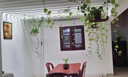 Zunanjost, Tiny Villa Homestay - Only For Foreign Bookings in Wilgoda