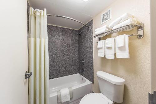 Quality Inn - image 13