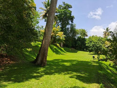 Villa Rice Edge - image 3