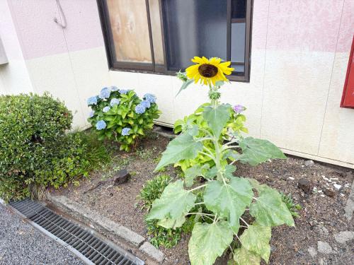 オンリー, Fukuyama (foto 11)