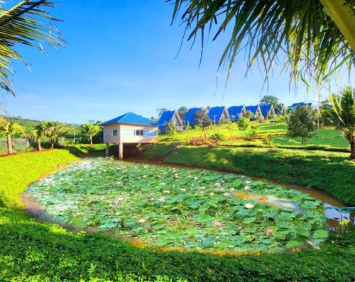 Homestay Đà Lạt Xưa - 주변 환경