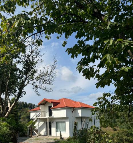 Countryside Private Home, Batumi