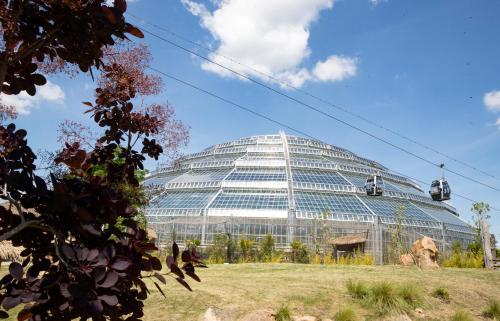 Grand Hôtel Saint-Aignan - image 13