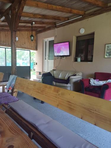 Koplietošanas atpūtas telpa ar TV, Apartmani Gavrilović (Apartmani Gavrilovic) in Zasavica