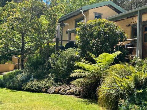 Coral Fern Retreat in Forrest