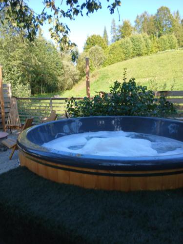 Svyat House in Volosyanka