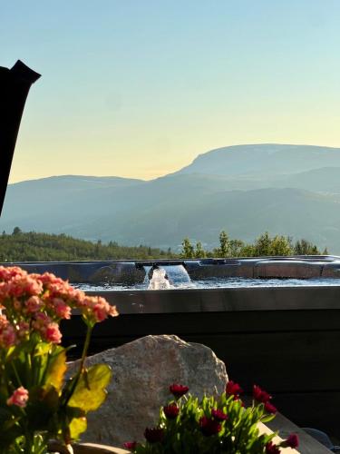 Geilo - Charming cottage with a stunning view, Geilo (foto 4)