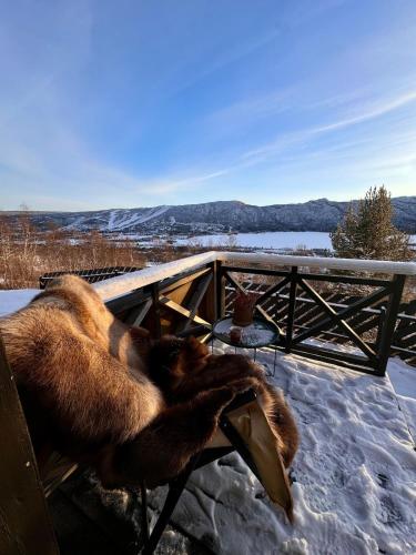 Charming cabin with lovely views at Geilo, Hol (fotografie 5)