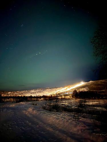 Charming cabin with lovely views at Geilo, Hol (fotografie 10)
