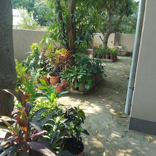 Chibu Backpackers Accommodation in Katima Mulilas