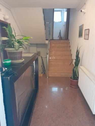 Second Sweet Home Guesthouse in Pristina