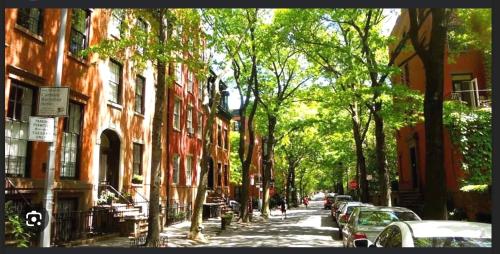 Beauty in the Heart of the Village, New York (photo 9)