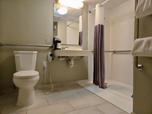 La Quinta Inn by Wyndham Tampa Bay Airport - image 11