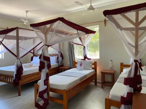 Summer Beach Paje in Zanzibar