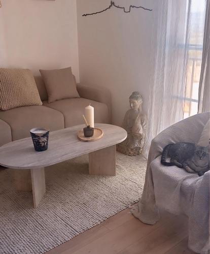 Magnifique appartement lumineux avec piscine - Location saisonnière - Mallemort