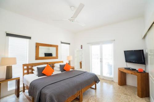 Three-Bedroom Apartment with One Bathroom image 3